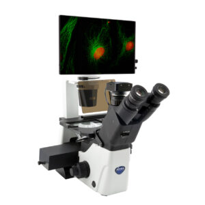 Optika IM-300LD4D microscope