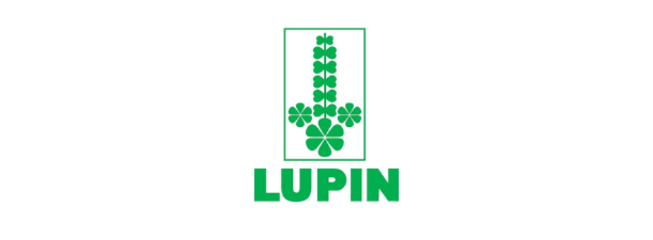 Lupin