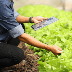 Agricultural Solutions